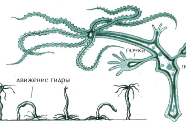 Kraken зеркало стор