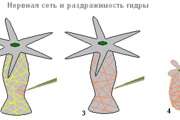 Гидра сайт в тор браузере ссылка