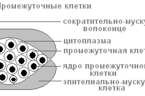 Кракен даркнет что известно