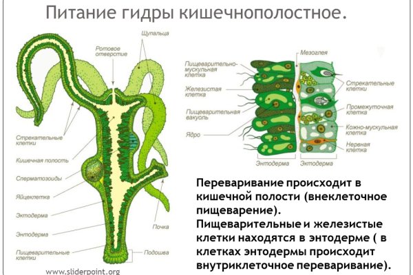 Кракен онион